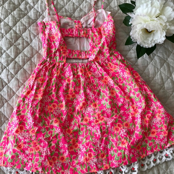 Lilly Pulitzer Dress - Picture 5 of 8